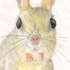jerboa